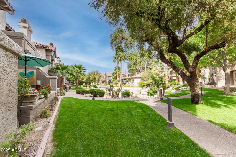 26 Mountain View