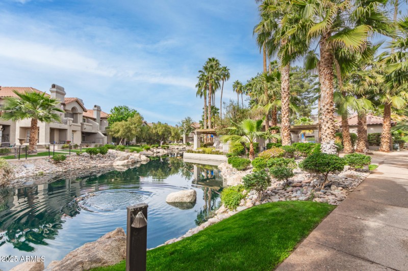 28 Mountain View