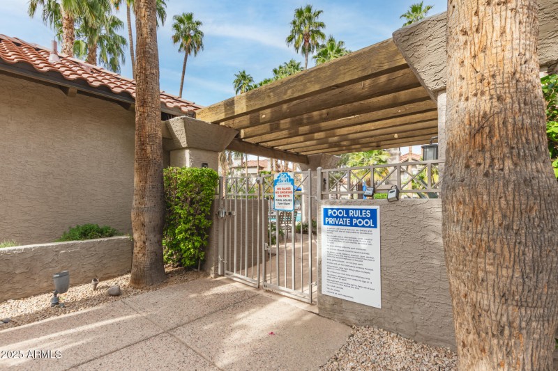 31 Mountain View