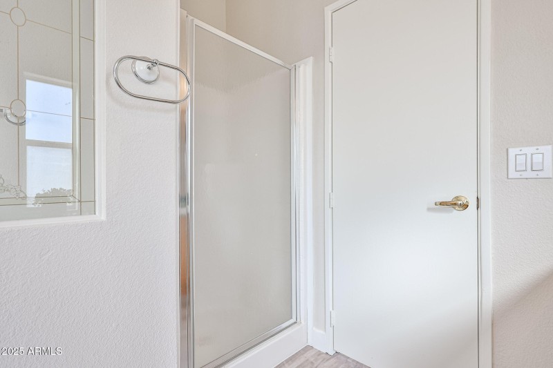 Primary Shower