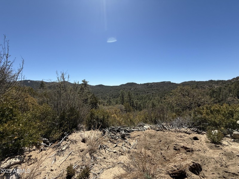 Mountain views