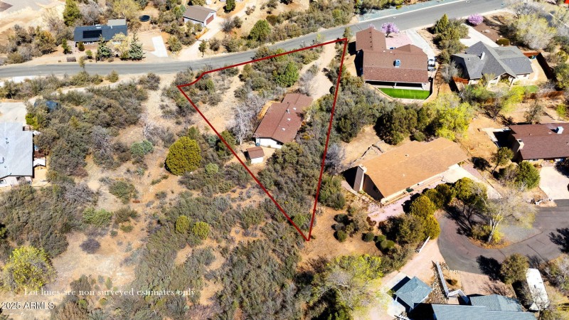 Birds Eye with Lot lines