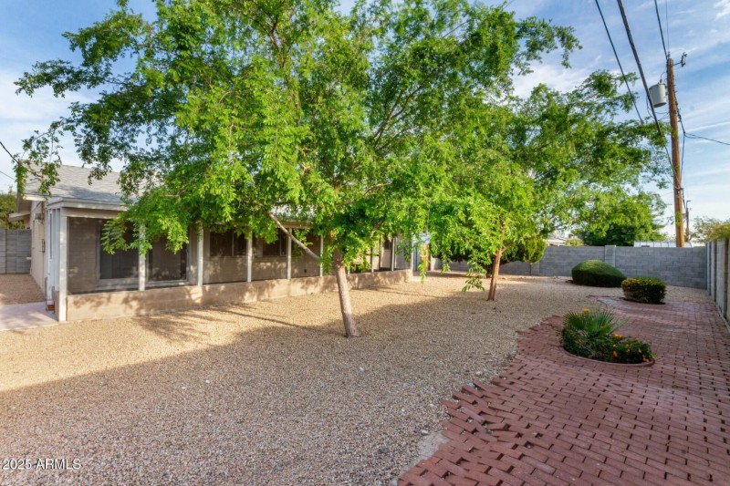Back yard
