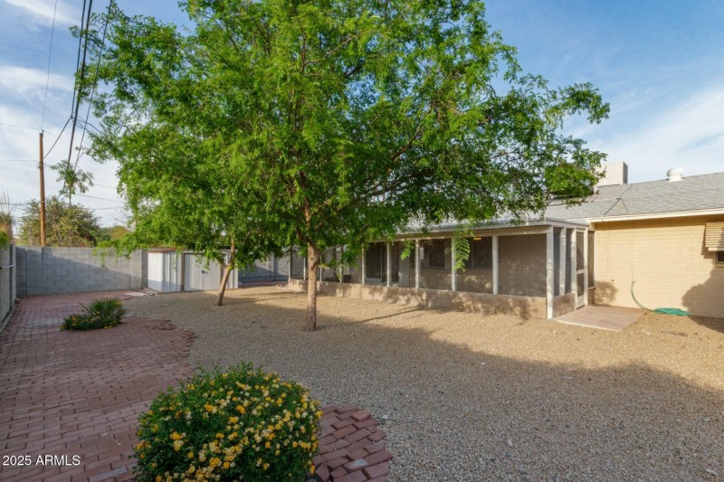 Back yard