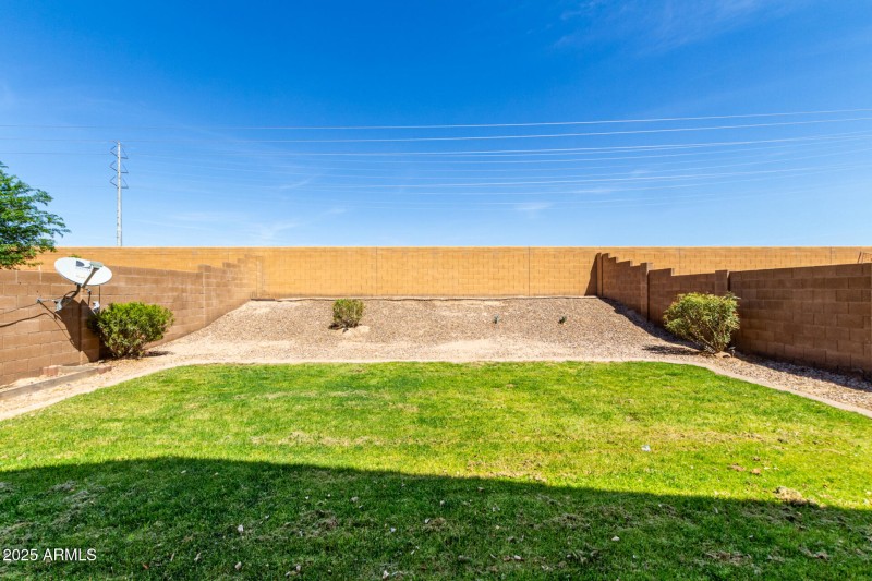 Back yard