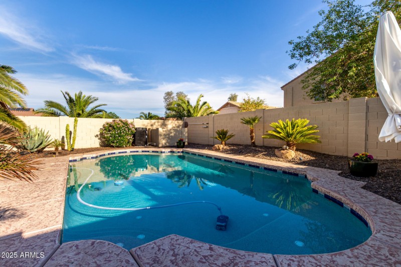 Amazing Pool