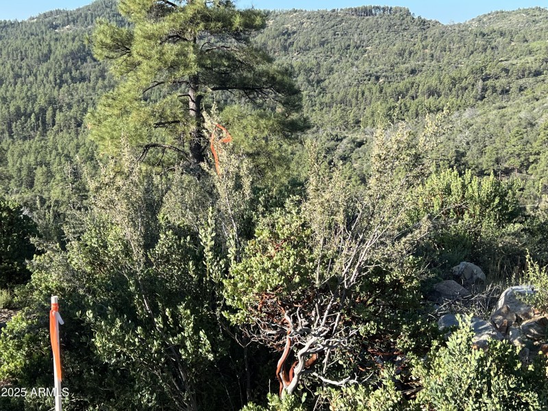 northeast corner of property