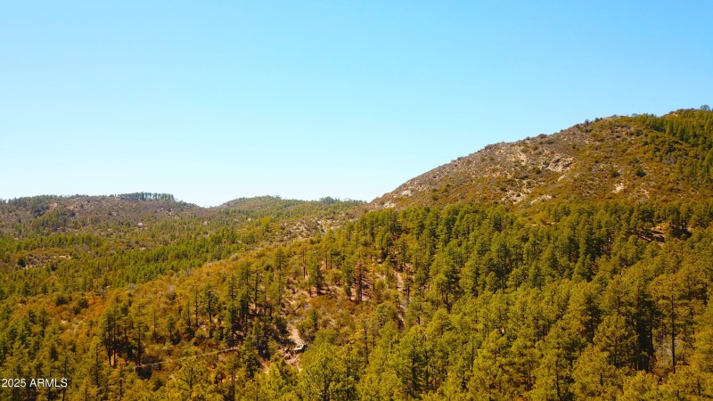 views looking south'