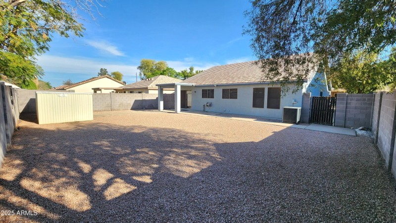 Big Back Yard