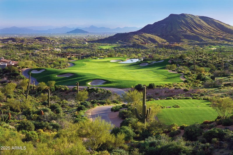 Chiricahua # 7