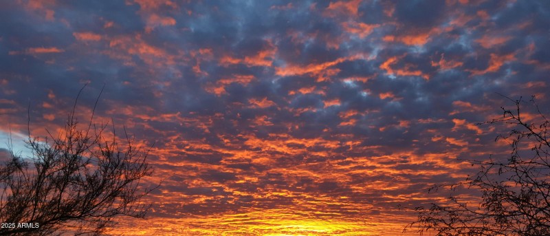 December 19 2015 adjusted and cropped