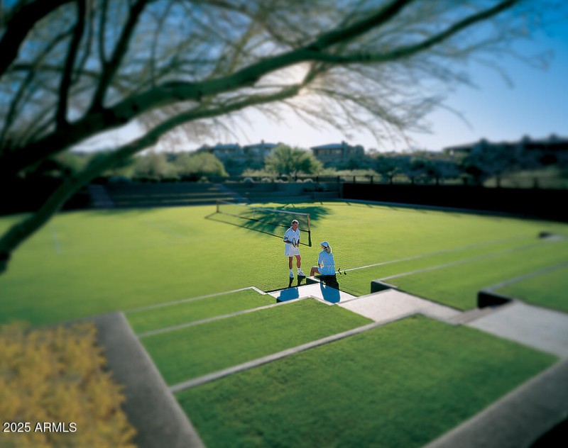 DM GrassTennis3in