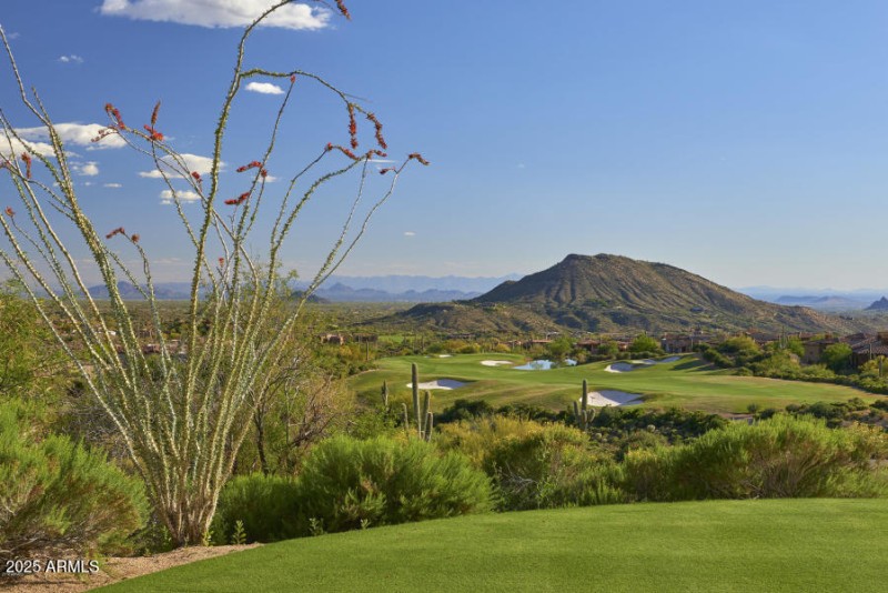 Chiricahua # 7