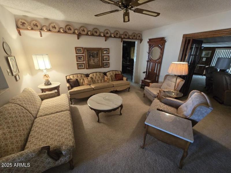 20241217_151132_resized