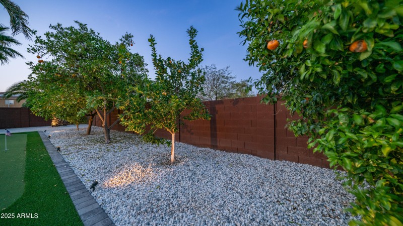 31689 N Blackfoot Dr-10