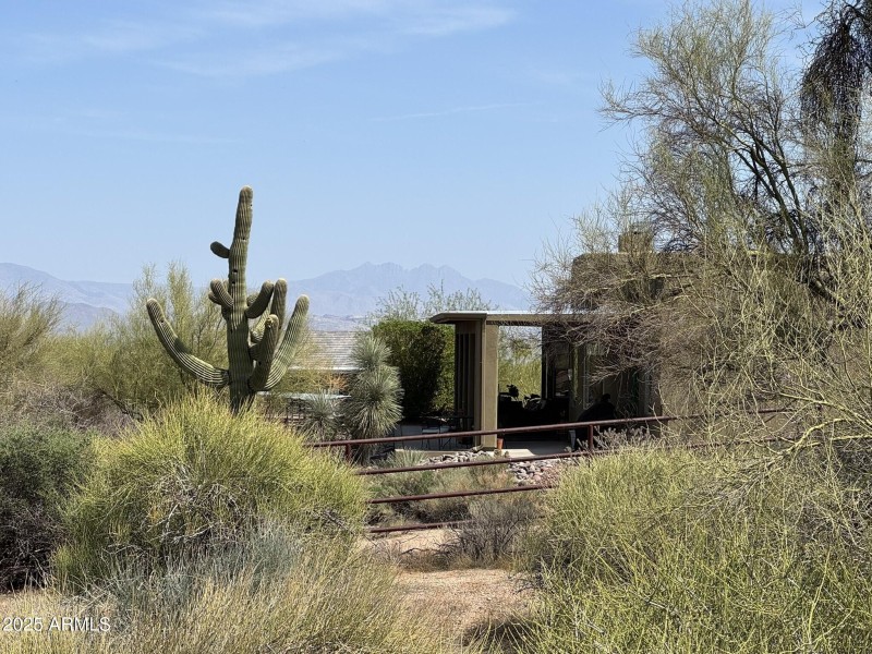 Desert Lifestyle