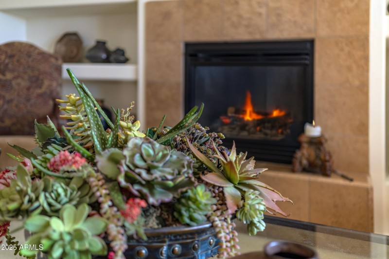 fireplace_detail