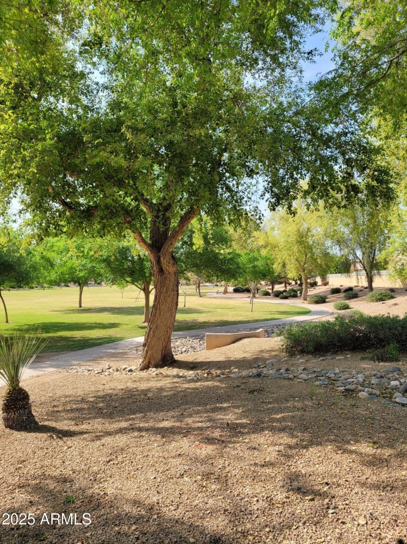 park