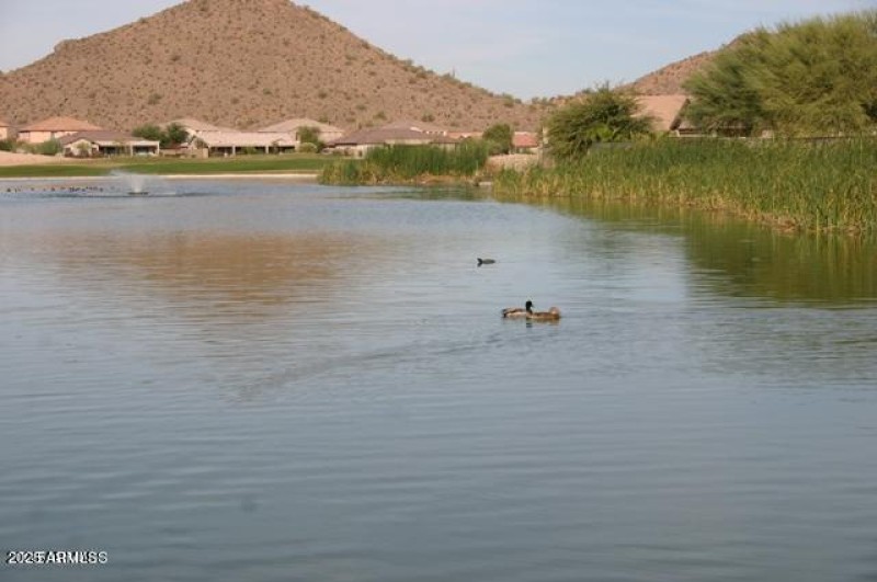 catch-release pond