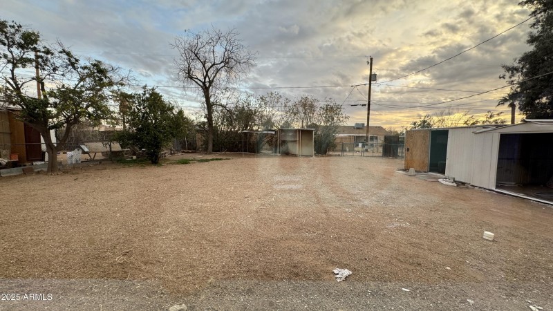 Back Yard