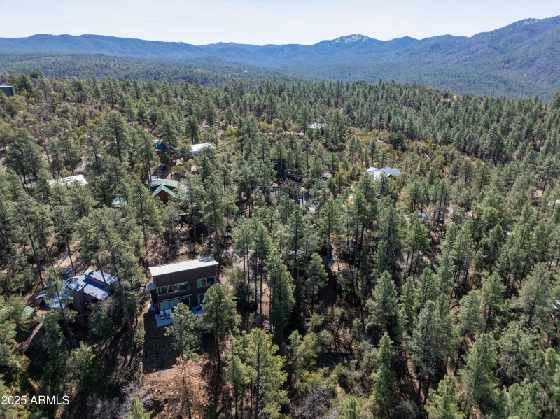 National Forest