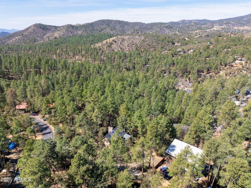 National Forest 2