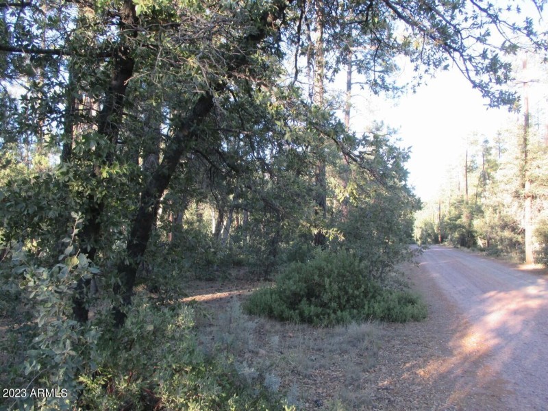 Photo_2
