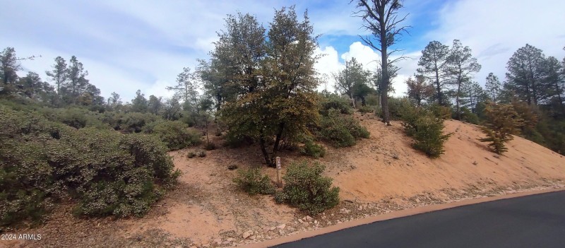 IMG_20240308_145005797_HDR~2