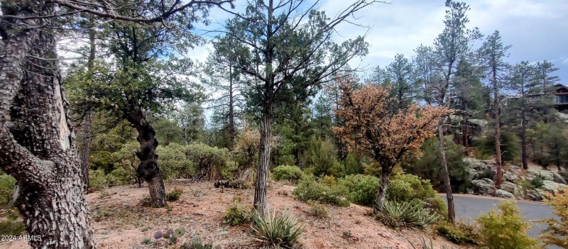 IMG_20240308_145739600_HDR~2