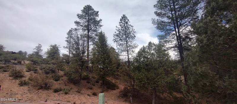 IMG_20240308_144828207_HDR