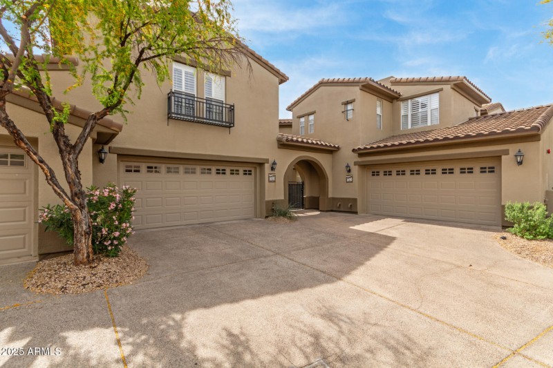 02 Grayhawk
