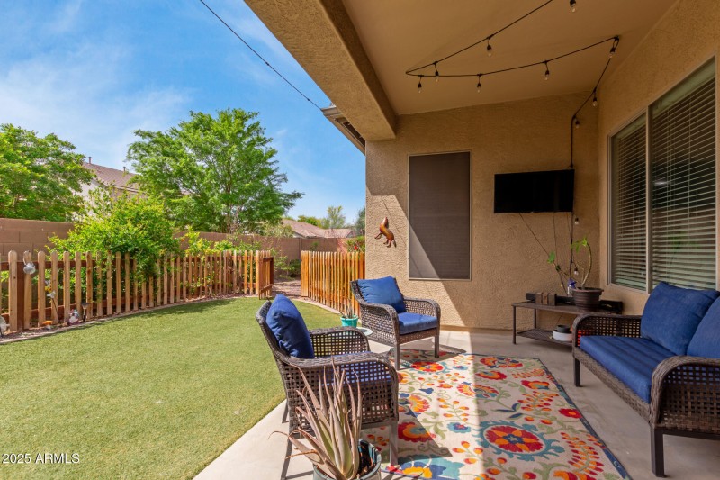 Patio/yard