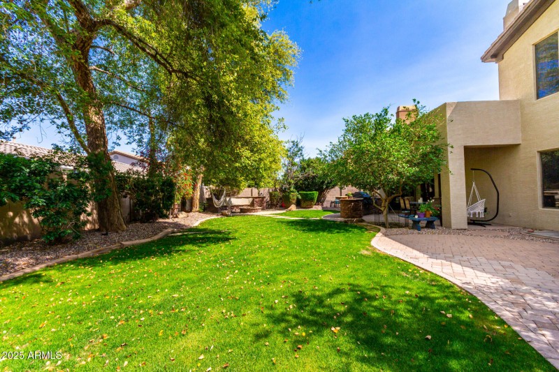 Backyard View East