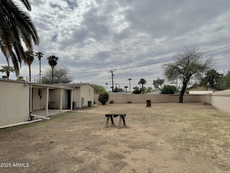 Backyard