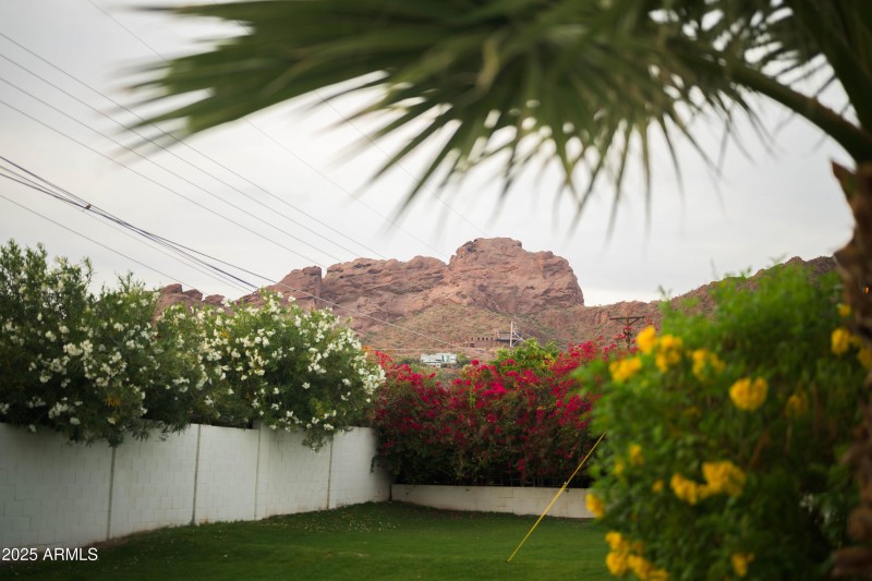 Royal Camelback view