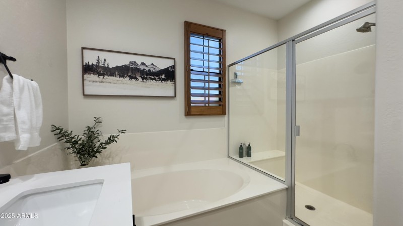 Separate tub & shower