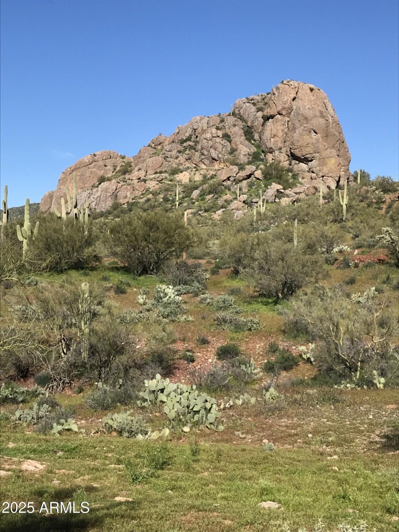 The ElephantButte