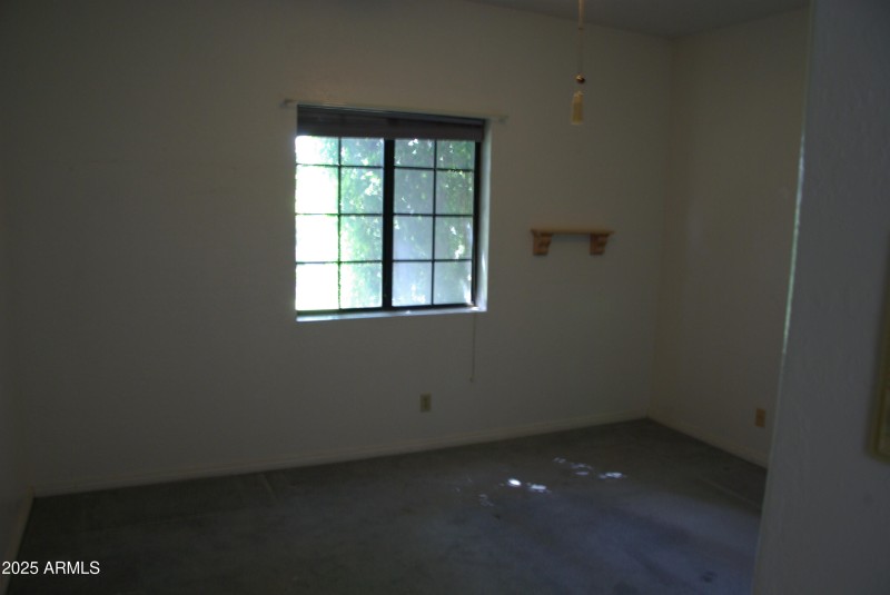 IMGP4190