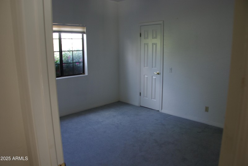 IMGP4193