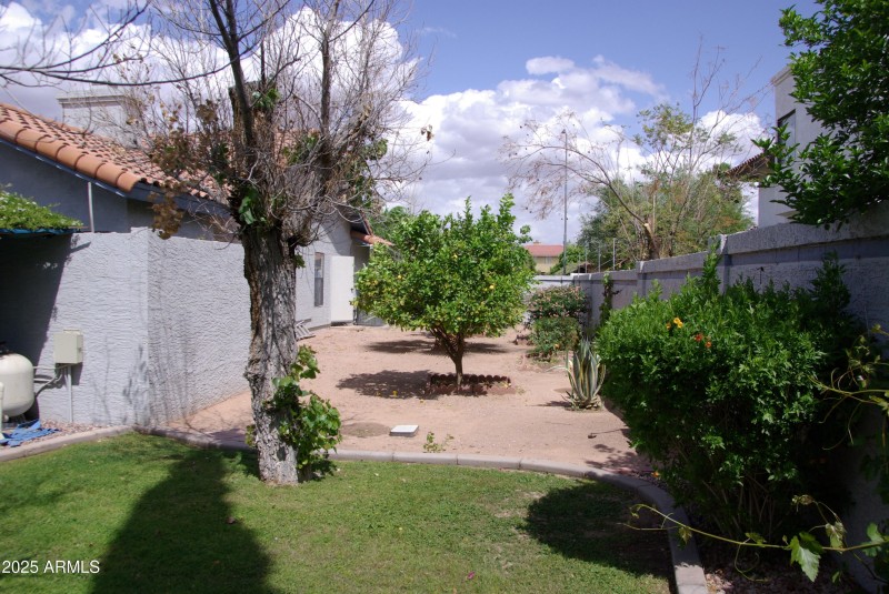 IMGP4208