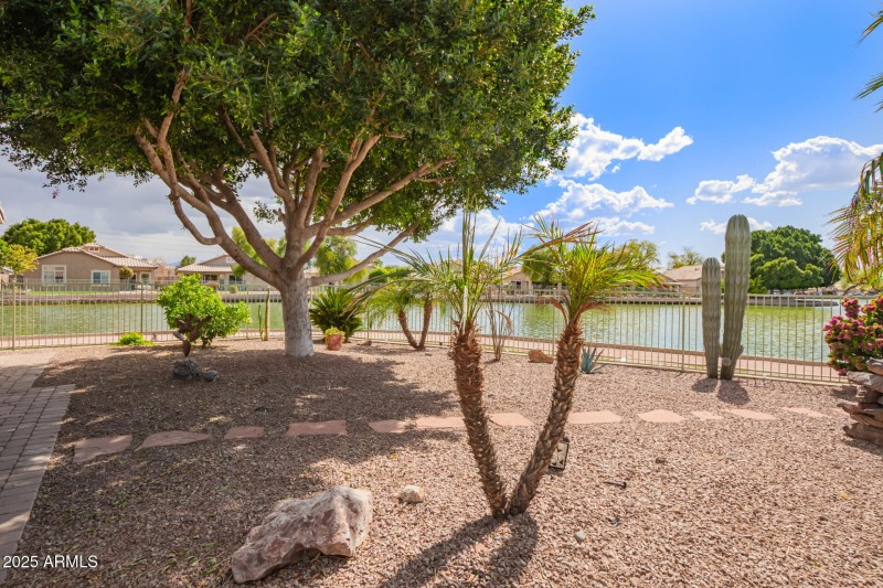 Lake Views