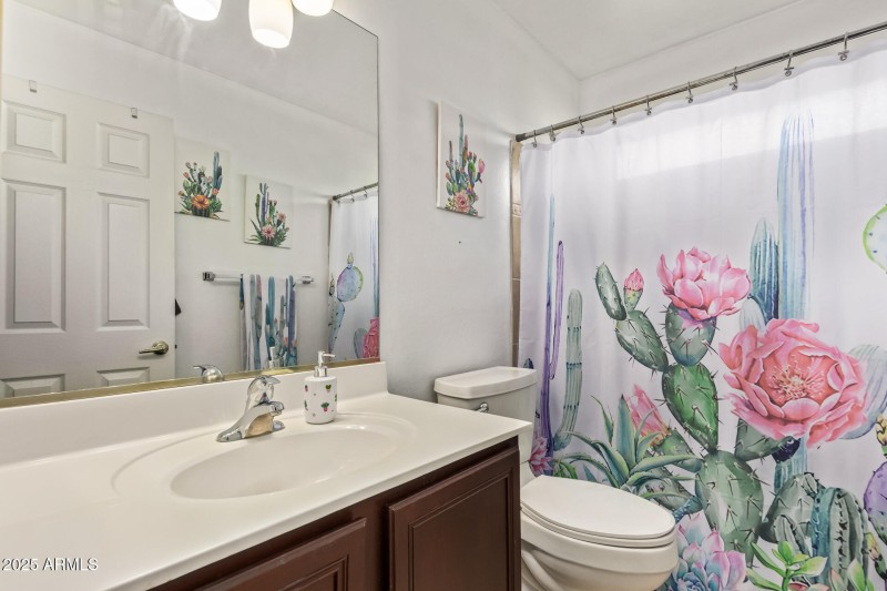 Hallway Bathroom