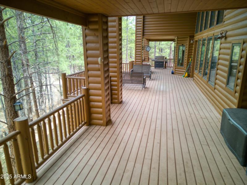 032_Back Deck