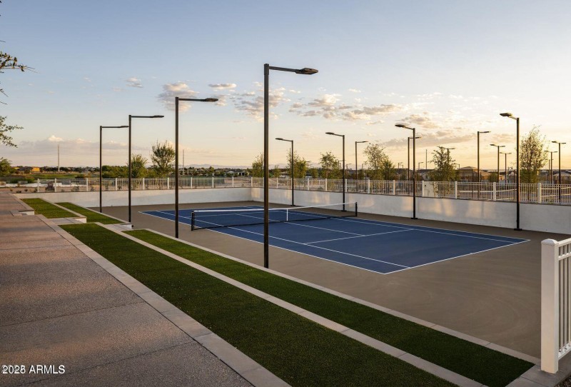 Championship Court for Pickleball