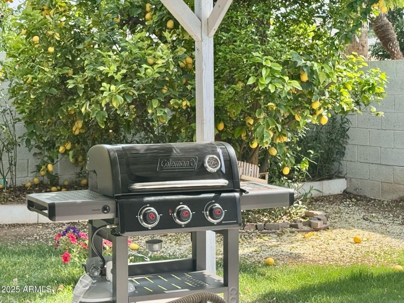 PHOTO-2025-04-05-08-29-23_4