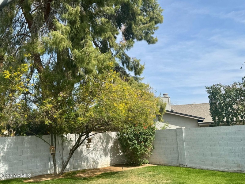 PHOTO-2025-04-05-08-29-24