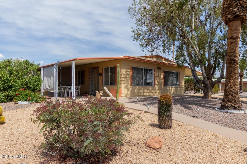 04 - Cactus Lane 9254