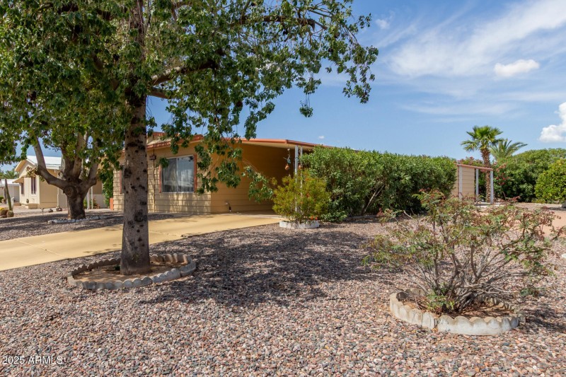 06 - Cactus Lane 9254