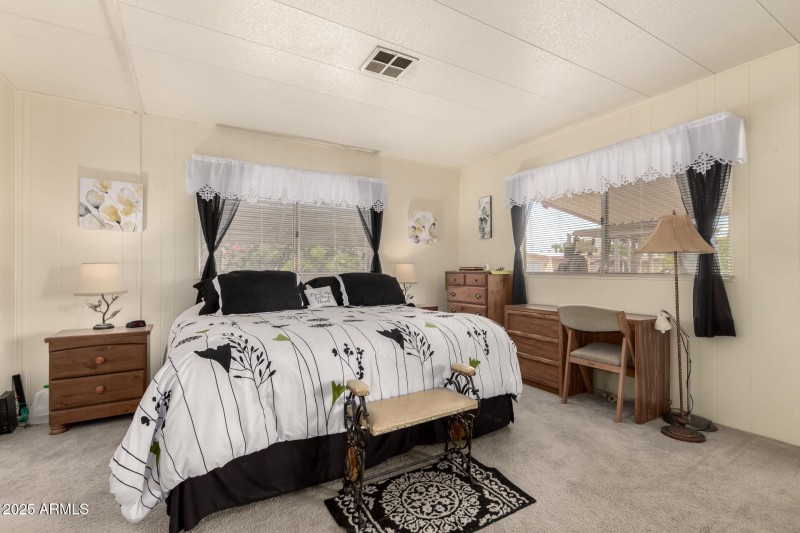 19 - Cactus Lane 9254