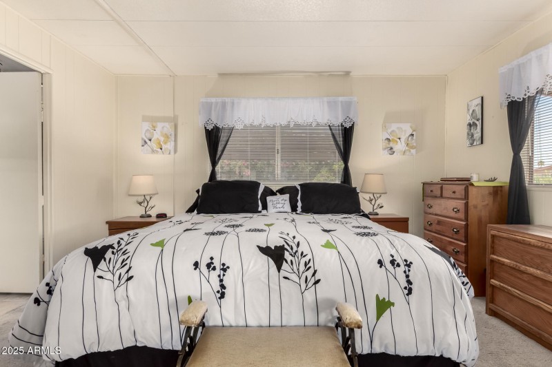 20 - Cactus Lane 9254